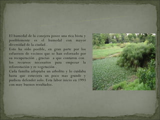 El humedal de la conejera posee una rica biota y posiblemente es el humedal con mayor diversidad de la ciudad . Esto ha sido posible, en gran parte por los esfuerzos de vecinos que se han esforzado por su recuperación , gracias  a que contaron con  los recursos necesarios para empezar la reforestación y re vegetación . Cada familia adoptaba un arbolito y lo cuidaba hasta que estuviera un poco mas grande y pudiera defender solo. Esta labor inicio en 1993 con muy buenos resultados. ECOSISTEMA 