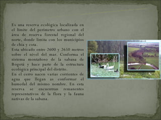 Es una reserva ecológica localizada en el limite del perímetro urbano con el área de reserva forestal regional del norte, donde limita con los municipios de chía y cota. Esta ubicado entre 2600 y 2650 metros sobre el nivel del mar. Conforma el sistema montañoso de la sabana de Bogotá y hace parte de la estructura ecológica principal del distrito. En el cerro nacen varias corrientes de agua que llegan as conformar el humedal del mismo nombre. En esta reserva se encuentran remanentes representativos de la flora y la fauna nativas de la sabana. IMPORTANCIA ECOLOGICA 