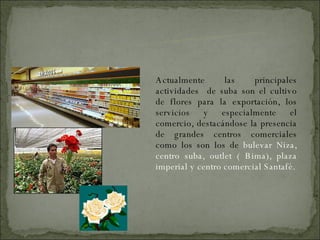 Actualmente las principales actividades  de suba son el cultivo de flores para la exportación, los servicios y especialmente el comercio, destacándose la presencia de grandes centros comerciales como los son los de  bulevar Niza, centro suba, outlet ( Bima), plaza imperial y centro comercial Santafé. ECONOMIA 