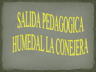 SALIDA PEDAGOGICA  HUMEDAL LA CONEJERA 
