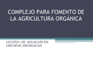 COMPLEJO PARA FOMENTO DE LA AGRICULTURA ORGÁNICA CULTIVO  DE  AGUACATE EN URUAPAN, MICHOACAN 
