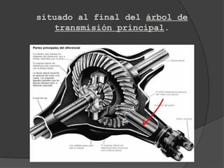 situado al final del árbol de
   transmisión principal.
 
