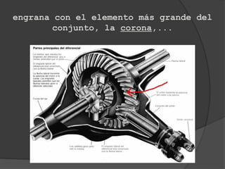 engrana con el elemento más grande del
        conjunto, la corona,...
 