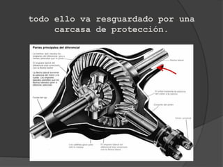 todo ello va resguardado por una
     carcasa de protección.
 