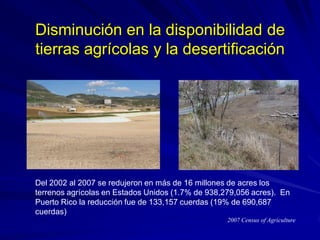 Disminución en la disponibilidad de
tierras agrícolas y la desertificación
Del 2002 al 2007 se redujeron en más de 16 mill...