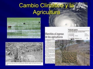 Cambio Climático y la
Agricultura
 