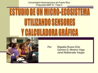Por:  Migdalia Rivera Ortiz Carmen D. Moreno Vega Janet Maldonado Vargas Universidad Interamericana de Puerto Rico Propuesta MSP 21  Fase II 