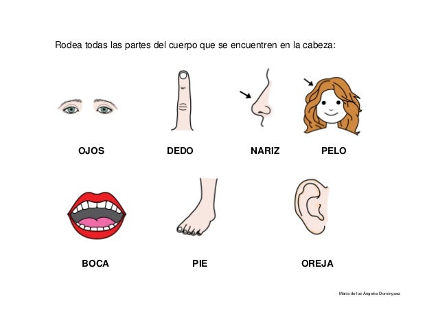 Como Se Dice Boca En Inglés