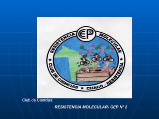 Club de Ciencias:  RESISTENCIA MOLECULAR- CEP Nº 2 