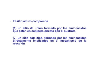 • El sitio activo comprende

  (1) un sitio de unión formado por los aminoácidos
  q
  que están en contacto directo con el sustrato

  (2) un sitio catalítico, formado por los aminoácidos
  directamente implicados en el mecanismo de la
  reacción
 