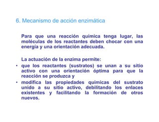 6 eca s o
6. Mecanismo de acc ó e
                acción enzimática
                            át ca

  Para que una reacción química tenga lugar, las
        q                   q         g    g ,
  moléculas de los reactantes deben chocar con una
  energía y una orientación adecuada.

  La actuación de la enzima permite:
• que los reactantes (sustratos) se unan a su sitio
  activo con una orientación óptima para que la
  reacción se produzca y
• modifica las propiedades químicas del sustrato
                 p p          q
  unido a su sitio activo, debilitando los enlaces
  existentes y facilitando la formación de otros
   ue os
  nuevos.
 