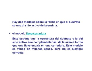 Hay dos modelos sobre la forma en que el sustrato
  se une al sitio activo de la enzima:

• el modelo llave-cerradura
  Este supone que la estructura del sustrato y la del
           p     q
  sitio activo son complementarias, de la misma forma
  que una llave encaja en una cerradura. Este modelo
  es válido en muchos casos pero no es siempre
                         casos,
  correcto.
 