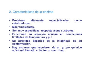 2. Características de la enzima
   Ca acte st cas      ae     a

• Proteínas      altamente    especializadas
                                 p                como
  catalizadores.
• Macromoléculas.
• Son muy específicas respecto a sus sustratos
                                       sustratos.
• Funcionan en solución acuosa en condiciones
  limitadas de temperatura y pH.
• Su actividad depende de la integridad de su
  conformación.
• Hay enzimas que requieren de un grupo químico
  adicional llamado cofactor o coenzima.
 
