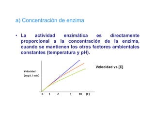 a) Co ce t ac ó de e
   Concentración   enzima
                        a

• La    actividad   enzimática    es    directamente
  proporcional a la concentración de la enzima,
  cuando se mantienen los otros factores ambientales
  constantes (temperatura y pH)
                            pH).
 