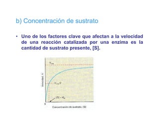 b) Concentración de sustrato

• Uno de los factores clave que afectan a la velocidad
                            q
  de una reacción catalizada por una enzima es la
  cantidad de sustrato presente, [S].
 