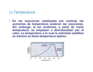 c) Temperatura

• En las reacciones catalizadas por enzimas los
                                      p
  aumentos de temperatura aceleran las reacciones.
  Sin embargo, al ser proteínas, a partir de cierta
  temperatura, se empiezan a desnaturalizar por el
      p       ,       p                          p
  calor. La temperatura a la cual la actividad catalítica
  es máxima se llama temperatura óptima.
 