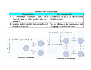 INHIBICION REVERSIBLE
          Competitiva                          No competitiva
El inhibidor compite con el          El inhibidor se fija a un sitio distinto
sustrato por el sitio activo de la   al sitio activo
enzima
Impide la formación del complejo     No se bloquea la formación del
enzima- sustrato                     complejo enzima-sustrato
 