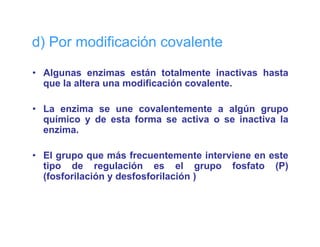 d) Por modificación covalente

• Algunas enzimas están totalmente inactivas hasta
    g
  que la altera una modificación covalente.

• La enzima se une covalentemente a algún grupo
  químico y de esta forma se activa o se inactiva la
  enzima.

• El grupo que más frecuentemente interviene en este
  tipo de regulación es el grupo fosfato (P)
    p           g                   g p          ( )
  (fosforilación y desfosforilación )
 