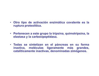 • Otro tipo de activación enzimática covalente es la
         p
  ruptura proteolítica.

• Pertenecen a este grupo la tripsina quimotripsina la
                              tripsina, quimotripsina,
  elastasa y la carboxipeptidasa.

• Todas se sintetizan en el páncreas en su forma
  inactiva, moléculas ligeramente más grandes,
  cataliticamente inactivas, denominadas zimógenos.
                           ,                 g
 