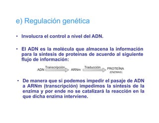 e) Regulación genética

• Involucra el control a nivel del ADN.

• El ADN es la molécula que almacena la información
  para la síntesis de proteínas de acuerdo al siguiente
  flujo de información:



• De manera que si podemos impedir el pasaje de ADN
  a ARN (t
    ARNm (transcripción) i
                  i ió ) impedimos l síntesis d l
                               di     la í t i de la
  enzima y por ende no se catalizará la reacción en la
  que dicha enzima interviene.
 