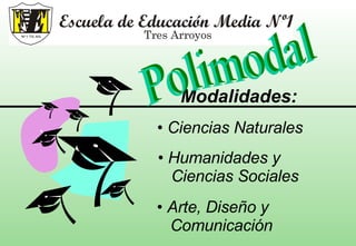 Modalidades: Ciencias Naturales Humanidades y  Ciencias Sociales Arte, Diseño y  Comunicación Polimodal 