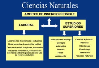 LABORAL ESTUDIOS SUPERIORES Laboratorios de empresas e industrias Departamentos de control de calidad Centros de salud, hospitales, sanatorios Industrias alimentarias, conservación del medio ambiente,preservación y uso de recursos naturales Licenciatura en Biología Geología Matemática Química Física  Astronomía AMBITOS DE INSERCION POSIBLE Ciencias Aplicadas:  Medicina Odontología Kinesiología Veterinaria Recursos Naturales Ciencias Naturales 