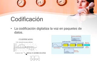 Codificación
• La codificación digitaliza la voz en paquetes de
datos.
 