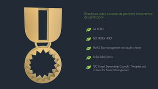 Directrices sobre sistemas de gestión e instrumentos
de certificación
SA 8000
ISO 9000/14001
EU-Eco Label criteria
EMAS. Eco-management and audit scheme
FSC. Forest Stewardship Council’s Principles and
Criteria for Forest Management
 