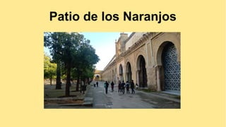 Patio de los Naranjos
 