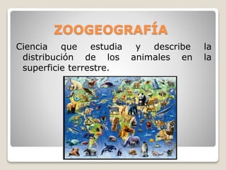 ZOOGEOGRAFÍA
Ciencia que estudia y describe la
distribución de los animales en la
superficie terrestre.
 