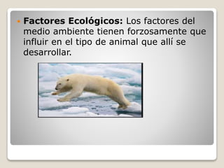  Factores Ecológicos: Los factores del
medio ambiente tienen forzosamente que
influir en el tipo de animal que allí se
desarrollar.
 