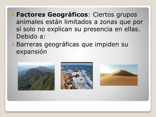  Factores Geográficos: Ciertos grupos
animales están limitados a zonas que por
sí solo no explican su presencia en ellas.
Debido a:
 Barreras geográficas que impiden su
expansión
 