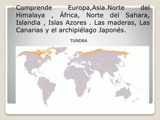  Comprende Europa,Asia.Norte del
Himalaya , África, Norte del Sahara,
Islandia , Islas Azores . Las maderas, Las
Canarias y el archipiélago Japonés.
TUNDRA
 