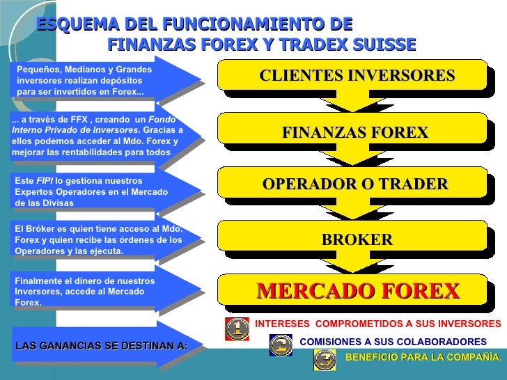 Ffx finanzas forex