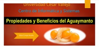 Propiedades y Beneficios del Aguaymanto
Universidad Cesar Vallejo
Centro de Informática y Sistemas
Gina Cunya Acuña
 