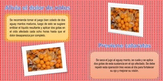 Se recomienda tomar el juego bien colado de dos
aguay mantos maduros, luego de esto se sugiere
entibiar el líquido resultante y aplicar dos gotas en
el oído afectado cada ocho horas hasta que el
dolor desaparezca por completo.
Se saca el jugo al aguay manto, se cuela y se aplica
dos gotas de esta sustancia en el ojo afectado. Se debe
repetir esta operación tres veces al día para fortalecer
su ojo y mejorar su visión.
 