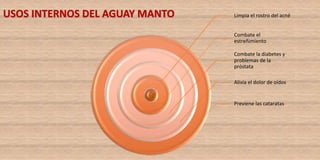 Limpia el rostro del acné
Combate el
estreñimiento
Combate la diabetes y
problemas de la
próstata
Alivia el dolor de oídos
Previene las cataratas
USOS INTERNOS DEL AGUAY MANTO
 