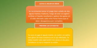 Se recomienda tomar el juego bien colado de dos
aguay mantos maduros, luego de esto se sugiere
entibiar el líquido resultante y aplicar dos gotas en
el oído afectado cada ocho horas hasta que el
dolor desaparezca por completo.
Se saca el jugo al aguay manto, se cuela y se aplica
dos gotas de esta sustancia en el ojo afectado. Se
debe repetir esta operación tres veces al día para
fortalecer su ojo y mejorar su visión.
ALIVIA EL DOLOR DE OÍDOS
PREVIENE LAS CATARATAS
 