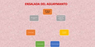 20 Aguay
mantos
1 Naranja pequeña,
el jugo y la
ralladura de la
naranja
6 Tomates
pequeños
2 Tazas de lechuga½ Pepino pelado
1 Limón (jugo)
Sal, pimienta al
gusto
ENSALADA DEL AGUAYMANTO
 
