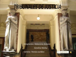 TRIBUNALES DE JUSTICIA Integrantes: Makarena Antunez Carolina Muñoz Carrera: Técnico Jurídico 