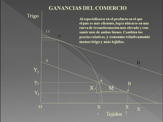 Presentacion Final H O 1