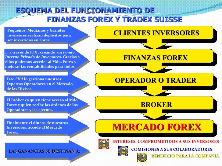 Finanzas forex