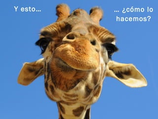 Jon Parro +
Y esto… … ¿cómo lo
hacemos?
 