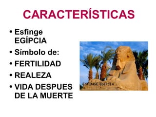 CARACTERÍSTICAS Esfinge EGÍPCIA Símbolo de: FERTILIDAD REALEZA VIDA DESPUES DE LA MUERTE 