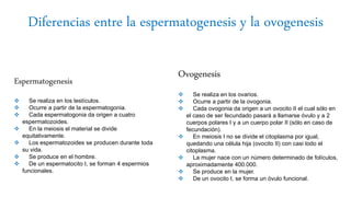 Diferencias entre la espermatogenesis y la ovogenesis
Espermatogenesis
 Se realiza en los testículos.
 Ocurre a partir de la espermatogonia.
 Cada espermatogonia da origen a cuatro
espermatozoides.
 En la meiosis el material se divide
equitativamente.
 Los espermatozoides se producen durante toda
su vida.
 Se produce en el hombre.
 De un espermatocito I, se forman 4 espermios
funcionales.
Ovogenesis
 Se realiza en los ovarios.
 Ocurre a partir de la ovogonia.
 Cada ovogonia da origen a un ovocito II el cual sólo en
el caso de ser fecundado pasará a llamarse óvulo y a 2
cuerpos polares I y a un cuerpo polar II (sólo en caso de
fecundación).
 En meiosis I no se divide el citoplasma por igual,
quedando una célula hija (ovocito II) con casi todo el
citoplasma.
 La mujer nace con un número determinado de folículos,
aproximadamente 400.000.
 Se produce en la mujer.
 De un ovocito I, se forma un óvulo funcional.
 