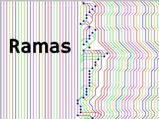 Ramas
 