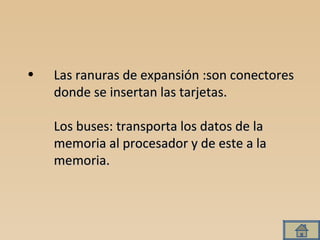 Las ranuras de expansión :son conectores donde se insertan las tarjetas. Los buses: transporta los datos de la memoria al procesador y de este a la memoria.  