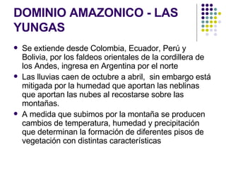 DOMINIO AMAZONICO - LAS YUNGAS Se extiende desde Colombia, Ecuador, Perú y Bolivia, por los faldeos orientales de la cordillera de los Andes, ingresa en Argentina por el norte   Las lluvias caen de octubre a abril,  sin embargo está mitigada por la humedad que aportan las neblinas que aportan las nubes al recostarse sobre las montañas.  A medida que subimos por la montaña se producen cambios de temperatura, humedad y precipitación que determinan la formación de diferentes pisos de vegetación con distintas características  