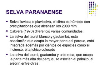 SELVA PARANAENSE Selva lluviosa o pluviselva, el clima es húmedo con precipitaciones que alcanzan los 2000 mm. Cabrera (1976) diferenció varias comunidades: La selva del laurel blanco y gautambú, esta asociación que ocupa la mayor parte del parque, está integrada además por cientos de especies como el incienso, el anchico colorado La selva del laurel, guatambú y palo rosa, que ocupa la parte más alta del parque, se asocian el palmito, el alecrín entre otras 