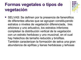 Formas vegetales o tipos de vegetación SELVAS: Se definen por la presencia de fanerofitos de diferentes alturas que se agrupan constituyendo estratos o niveles de vegetación diferenciada,  tres arbóreos y uno arbustivo, los estratos inferiores completan la distribución vertical de la vegetación con un estrato herbáceo y uno muscinal, en el cual hay helechos de tamaño reducido y briofitas. También caracterizan la formación de selva una gran abundancia de epífitas y lianas herbáceas y leñosas  